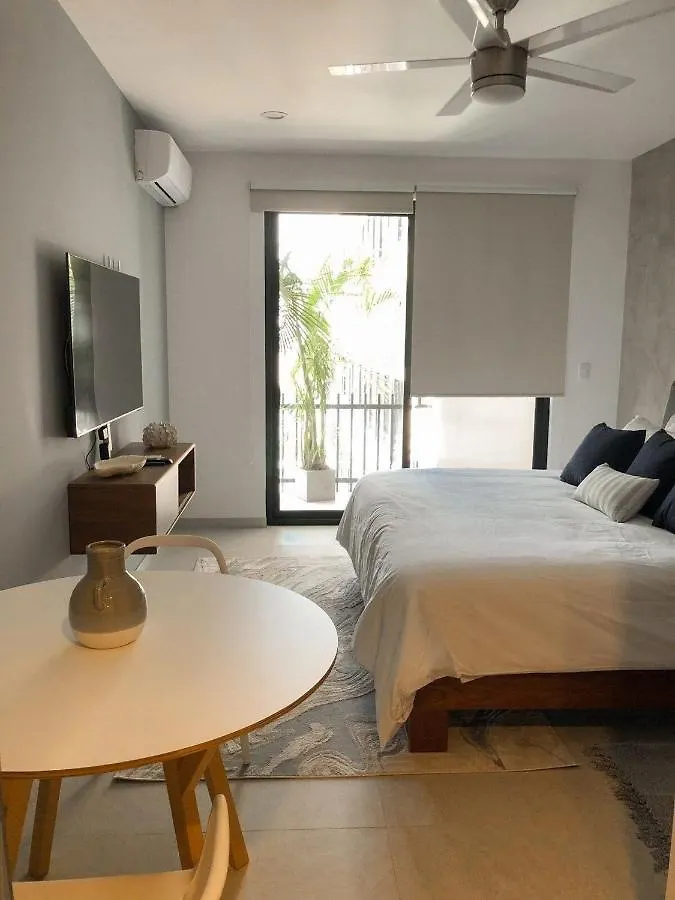 Deluxe Studio Aparment Mamitas Zone 普拉亚卡门 0*,