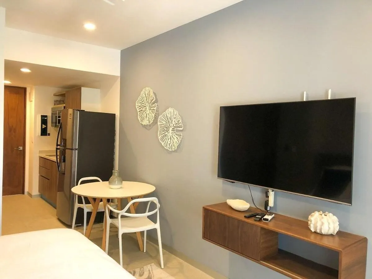 公寓 Deluxe Studio Aparment Mamitas Zone 普拉亚卡门 墨西哥