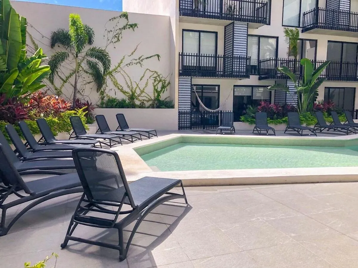 Deluxe Studio Aparment Mamitas Zone 普拉亚卡门 公寓